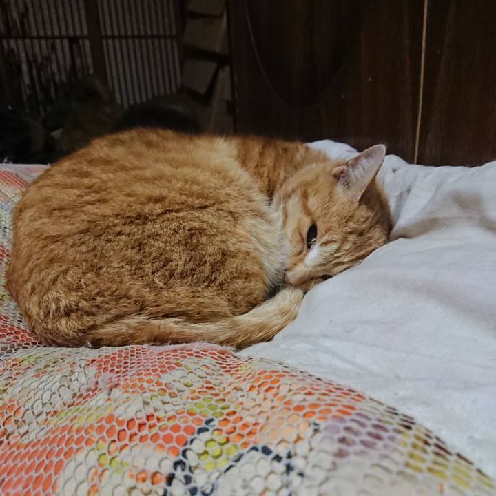 1cd8e183 bec2 4a82 b495 213c6ffa23fc 1586777296193