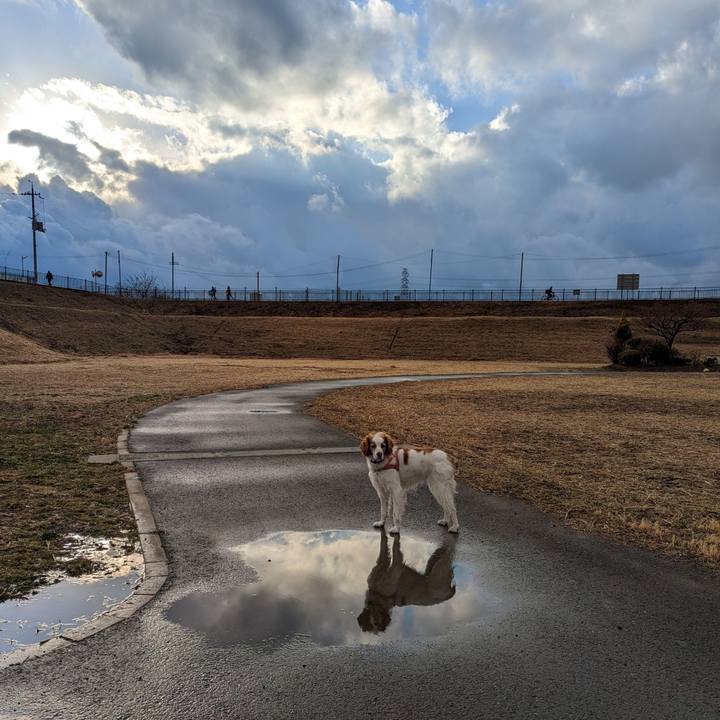 1cd8e52c f756 4a96 802b 6c15fe1a18c5 1674806591885