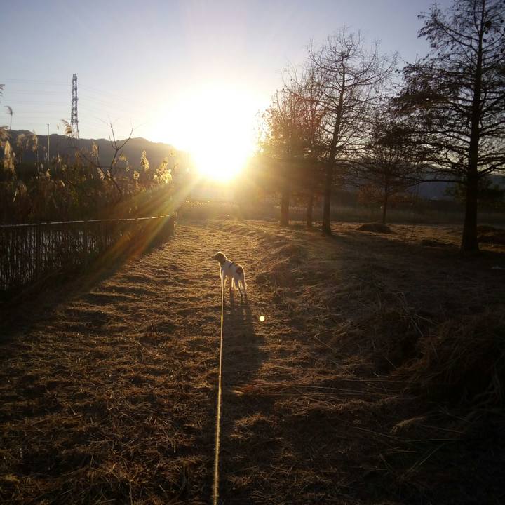 1cd936af ff86 4e97 a9bb df2a51b82371 1513556218036