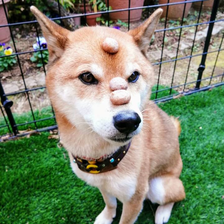 1cd97bde cec7 4090 9e73 359191543e41 1606717247640