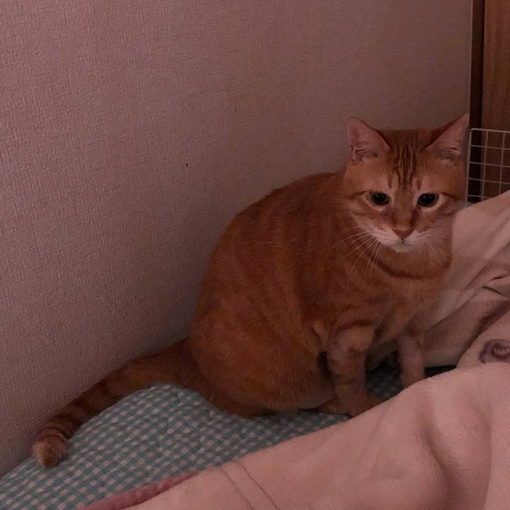 1cd9d984 567e 4822 991d 0755d41699fb 1659899111527