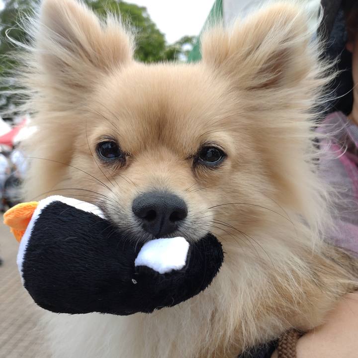 1cda0997 b26d 4274 a33e 74cb333d270c 1748220168735