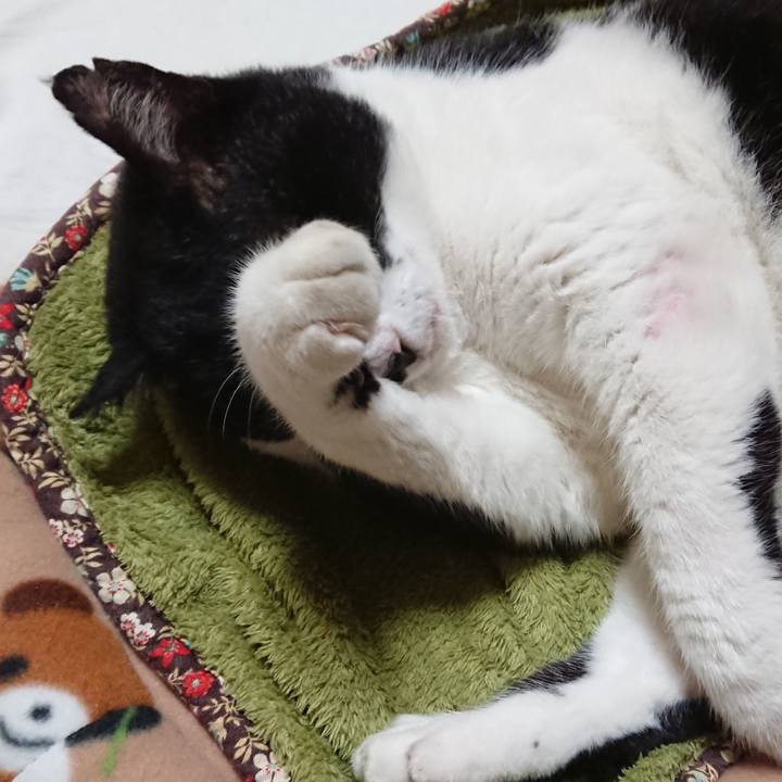 1cda0f14 4c07 4c83 9d9a 5ac27c18d189 1603502533621