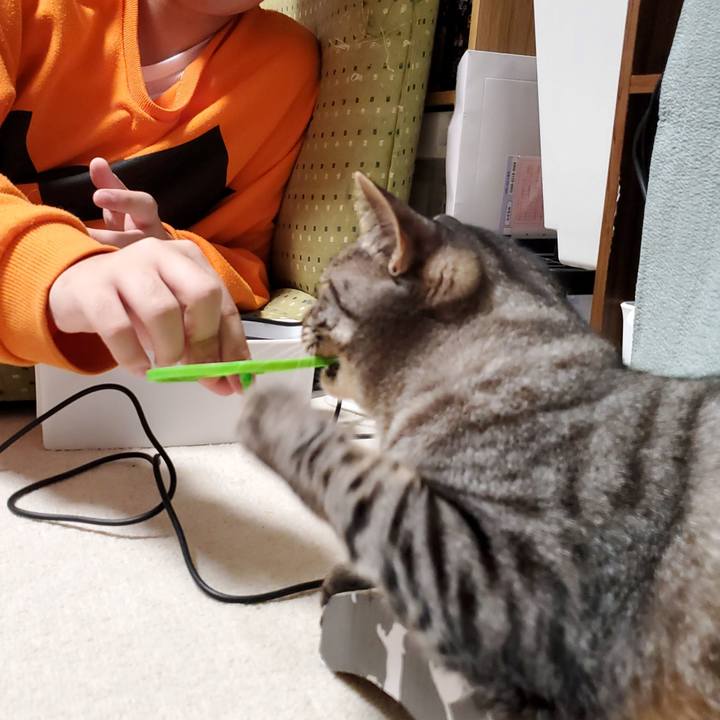 1cda1ed1 33cf 4e03 8384 348e956c3253 1716068108545