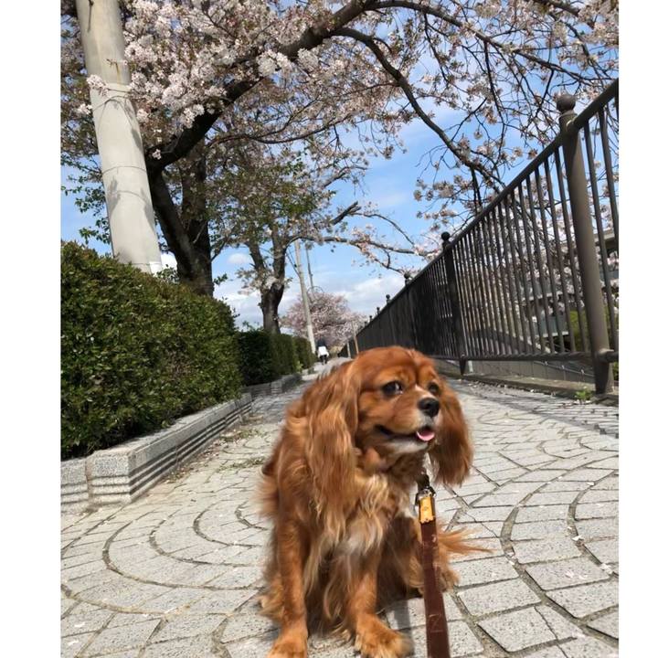 1cda465d 3505 48f4 af3e c914f851c828 1617628889620