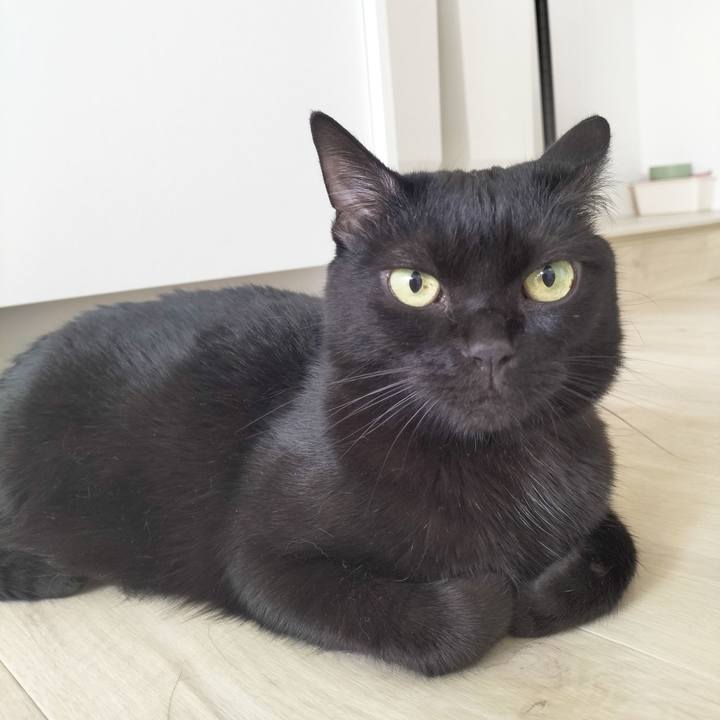 1cdabc9d fd94 4558 8ea8 f6ee4a2bd58d 1691289617207