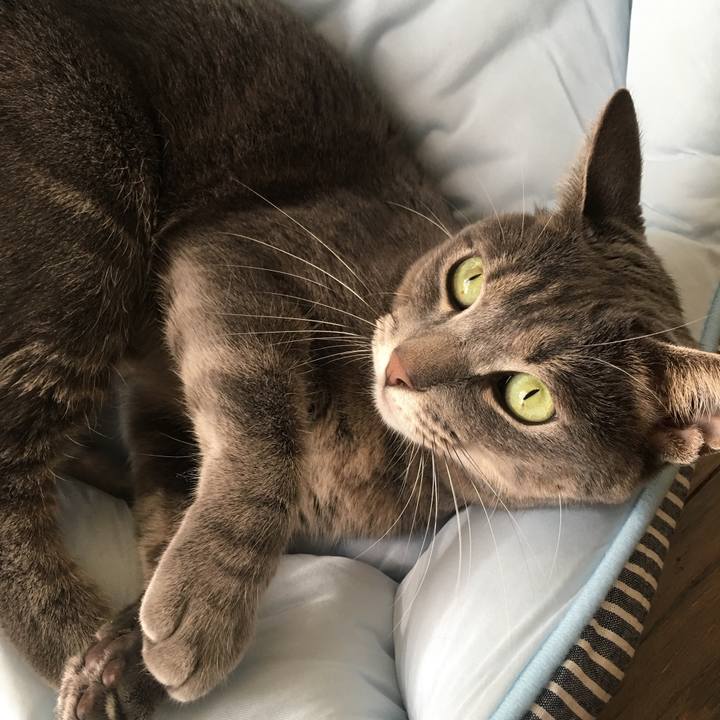 1cdb07f6 2e6c 41ea 8cf3 880b3942ffaf 1544242320230