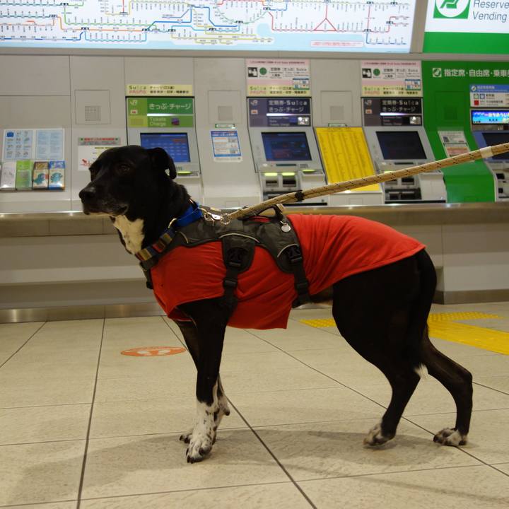 1cdb38f6 cf87 4578 88b1 b6a22f34095c 1643455036003