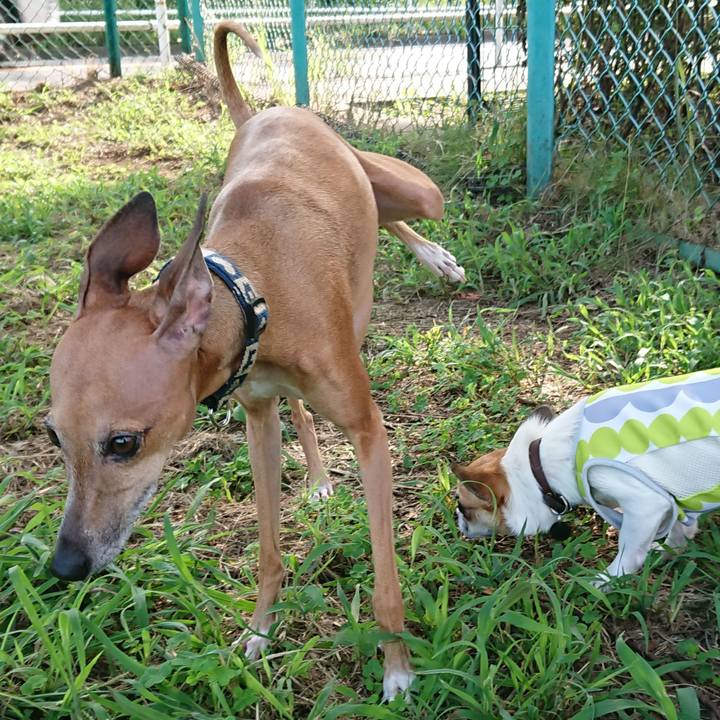 1cdb3d7d 4548 4a18 bfd2 990e95f6c402 1567378216550