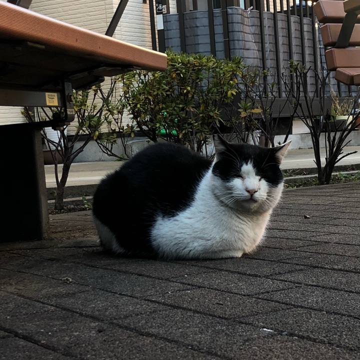 1cdb46de da1e 4ed0 9553 353f87d9586e 1643865225203