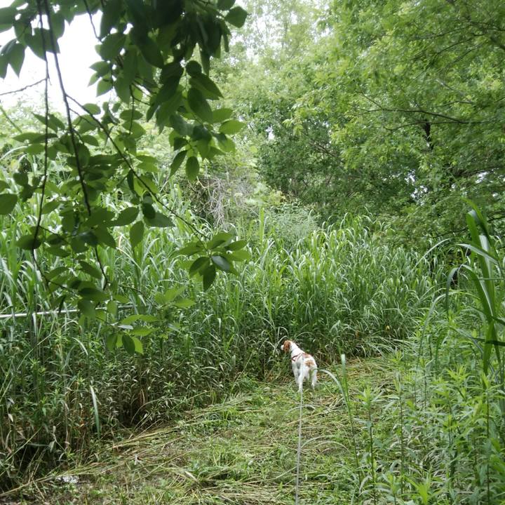 1cdb8e20 747b 4766 b079 3a5e1291bf94 1527812374921