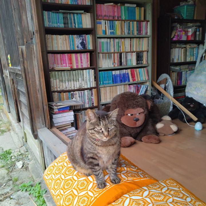 1cdbb986 dc57 454c b60c 499c9a6bc18d 1687400687417