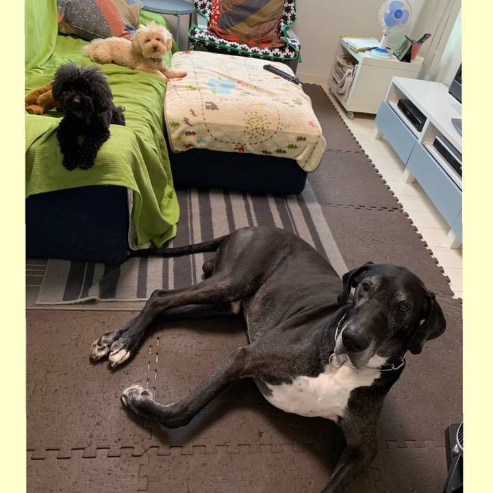 1cdbda6d ef7f 484a 8409 ee2d0b0cda96 1559083599275