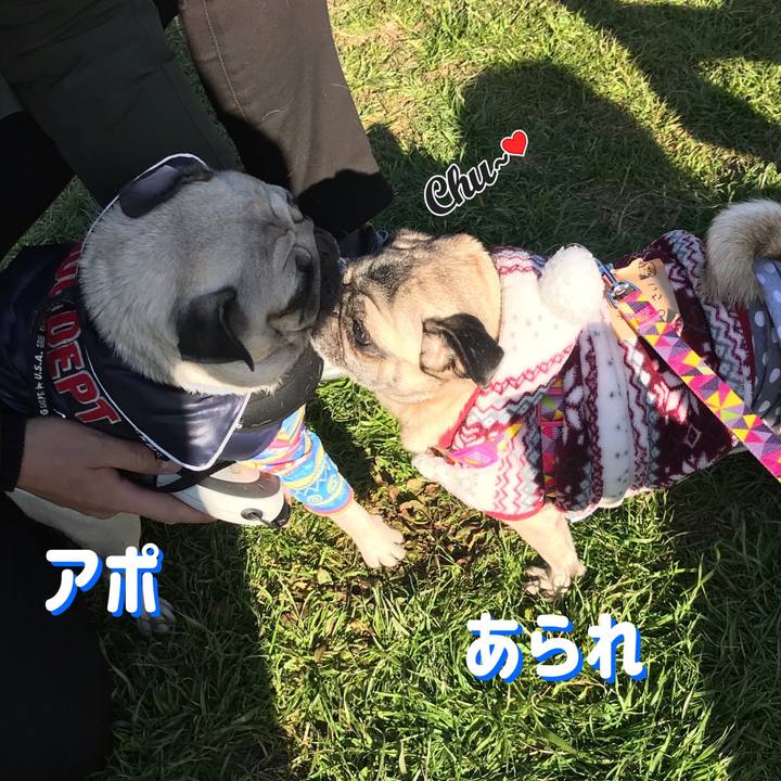 1cdc008f 6b67 4c5a 8ea0 8040915d7a04 1546078908106