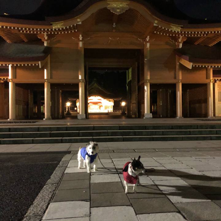 1cdc0e40 fbaa 4116 ad4a 35bd01edeea4 1579644858926