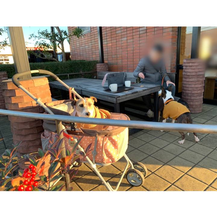 1cdc2817 df91 4ee0 9d26 2e96cc5729b5 1609405981873