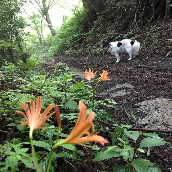 1cdc4e2e 3763 46ff adc9 440d5837cbd7 1533394023815