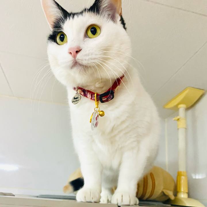 1cdc56b2 27b4 4561 8985 43c96ec8b711 1705657704556