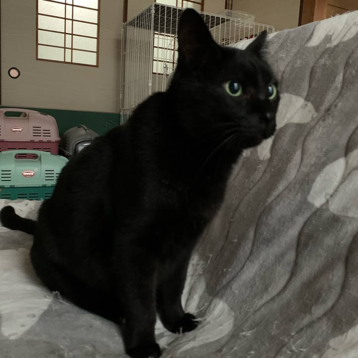 1cdc6464 c1ac 4451 becf 4b05667a0d04 1578358849559