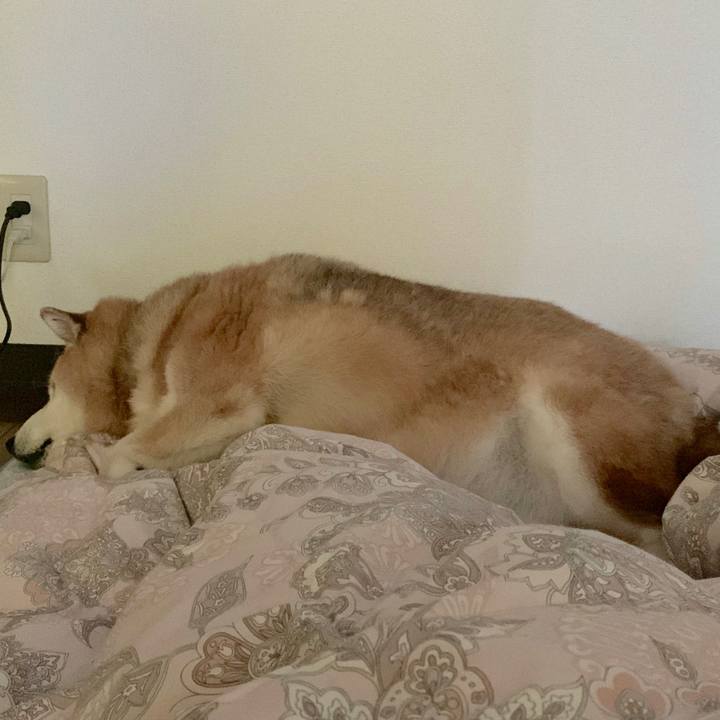 1cdc78d9 33c6 429b 9ea0 046762ba85b1 1570610092340