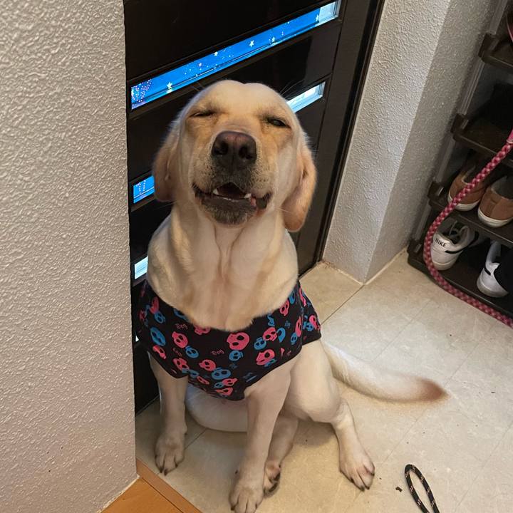 1cdc7af8 dc31 4776 b436 f2f9172ef7fc 1668842778195