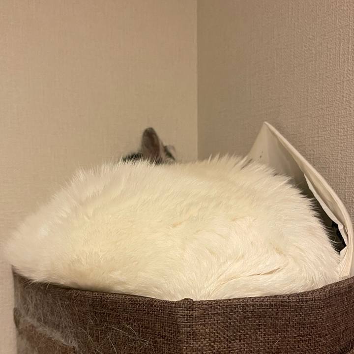 1cdccbbb a20f 489a b57e 3dd86d58b3a0 1742269986149