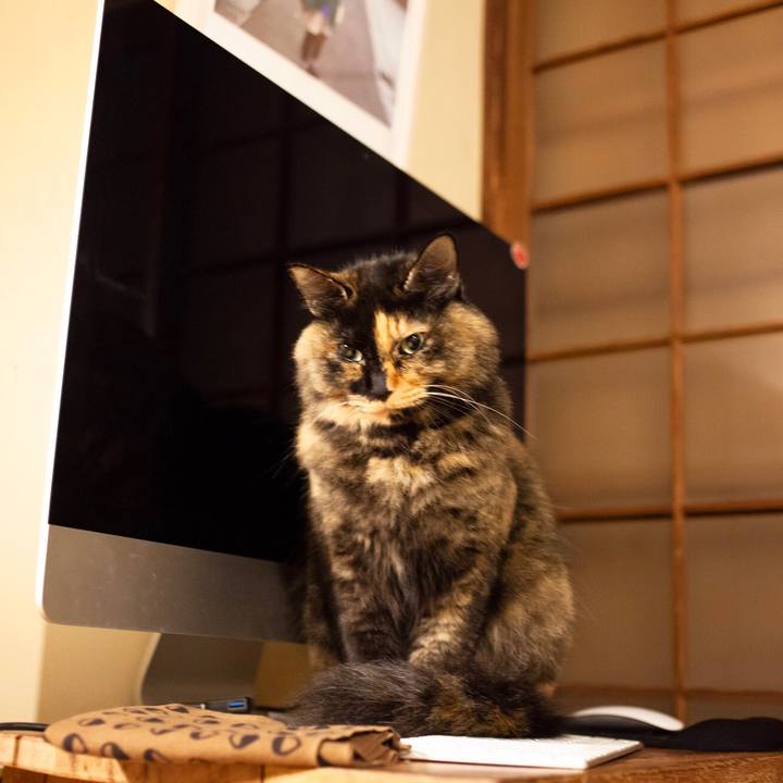 1cdcd813 5b31 4bef bf89 22181e5c6ad9 1575383444261