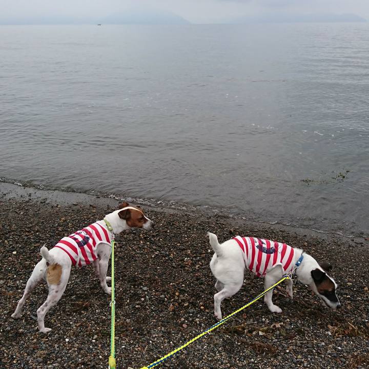 1cdd32dd 6f0d 4991 a23c 0b8528b4f935 1567292534473