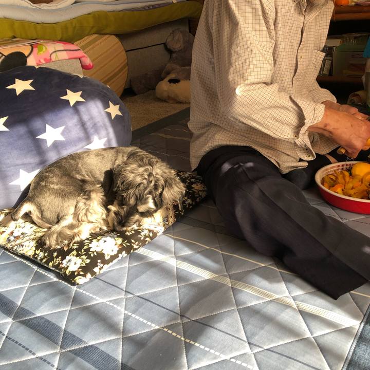 1cdd37c7 4c9b 4634 b2d7 839132e4c40b 1667452750244