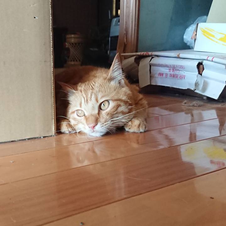 1cdd4578 99e1 4886 8f3f be11d9ffbe0b 1658732592113