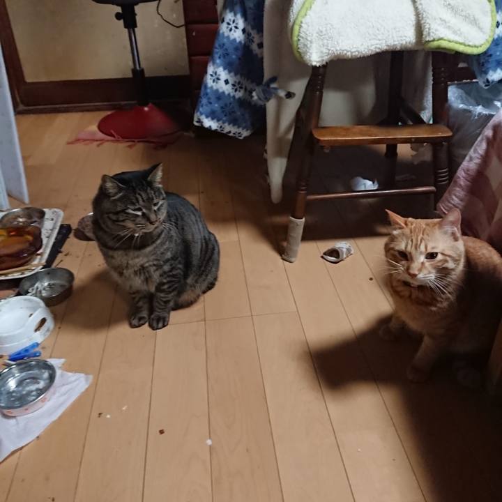 1cdd750c eadb 430a b3c1 79fab1e720ce 1643800363761