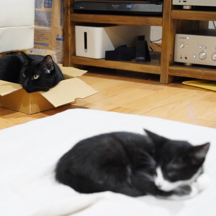 1cdd8120 f027 4636 8b77 a0b863737229 1567990376010