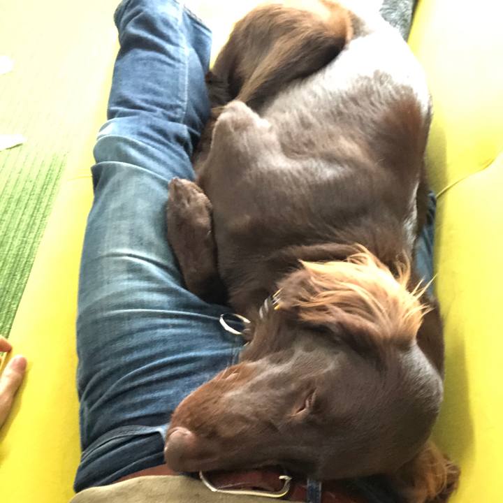 1cdd83ac e9ca 438e 83c9 608ff237f82a 1582709954068