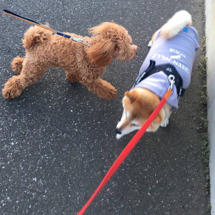 1cdd8cd1 0bbe 458e b9af 49f219d59251 1585044258803