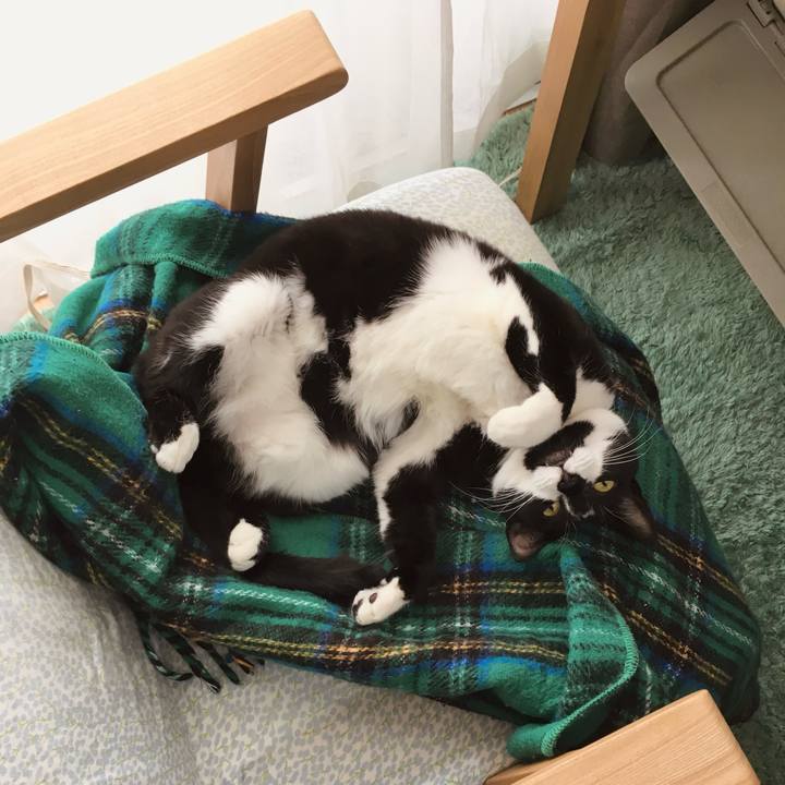 1cddbaa5 fcbf 48f1 ad84 41b828fbbe63 1763300637660