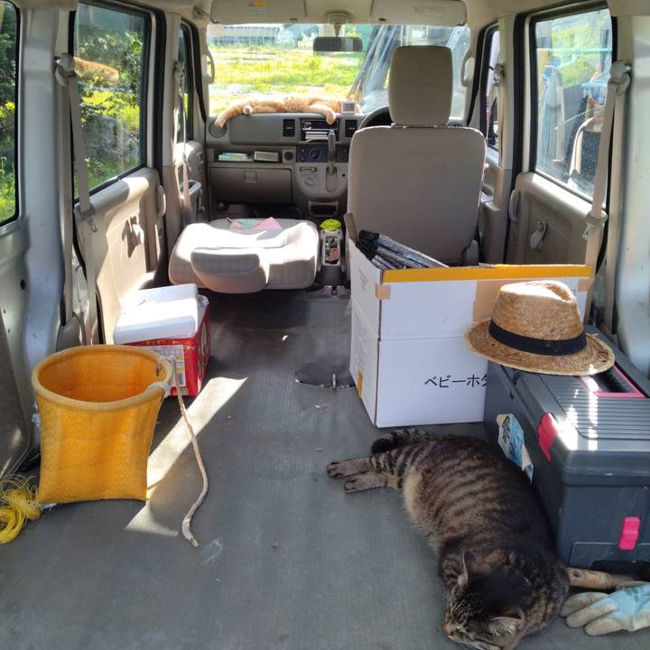 1cddc435 519a 4f97 9e67 a67e785e5f05 1688027476798