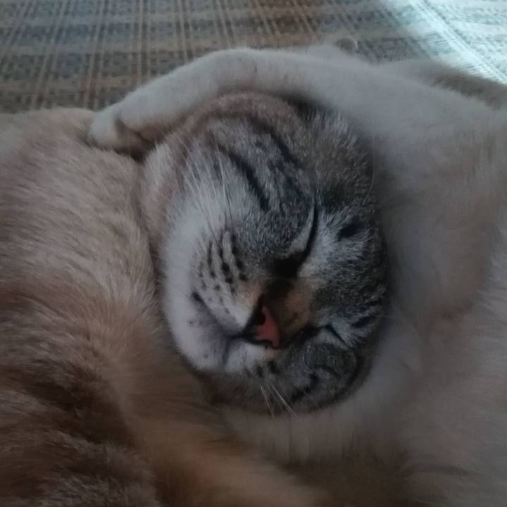 1cdde687 bb36 4c0e b293 aa62c3b2f64b 1549107721098