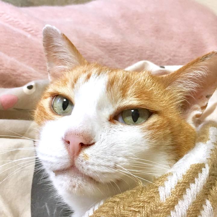 1cddee90 2681 4a78 b150 5afaf5ff5395 1563697675331