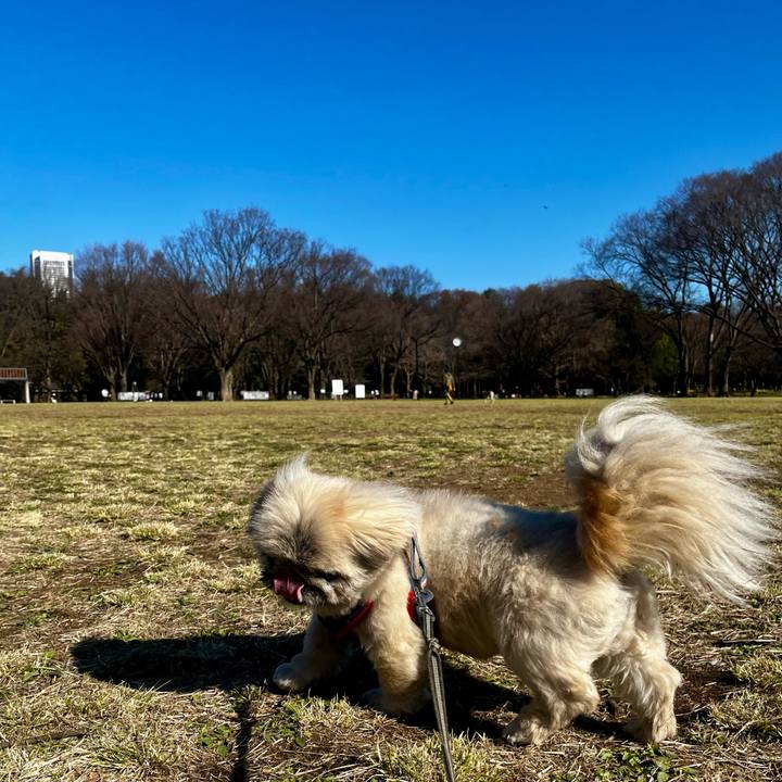 1cddf037 03ce 4034 8c26 615dda36c892 1773532197302