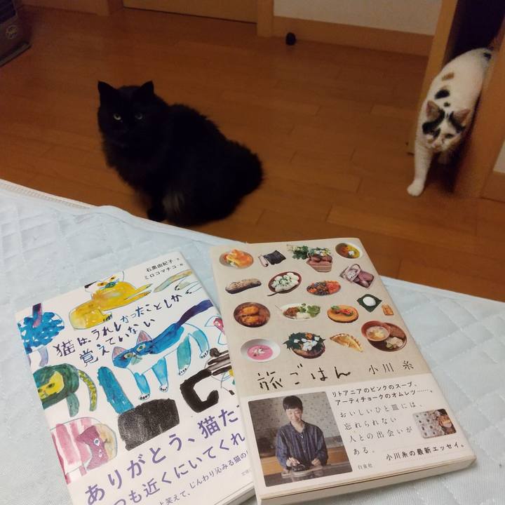 1cde38c8 4b9a 4d9b b844 be5ed7d1b41e 1597496755569