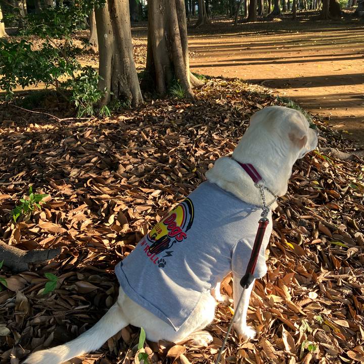 1cde69cd 1634 42ba b393 33b247641bd6 1664842481534