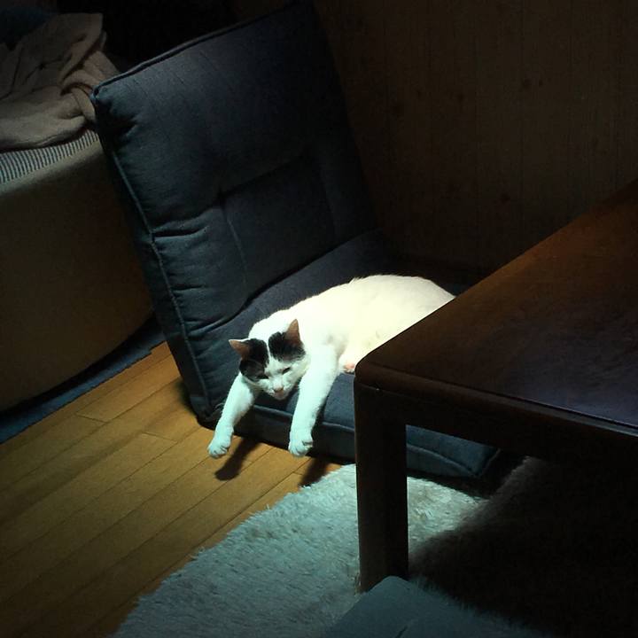 1cde8e8c d079 4a17 9e60 cbcd52efb9e8 1528532822663