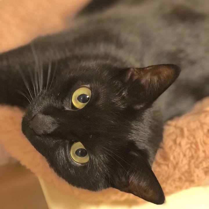 1cde927f 7b03 49d1 8403 5e95c88de4de 1512645609806