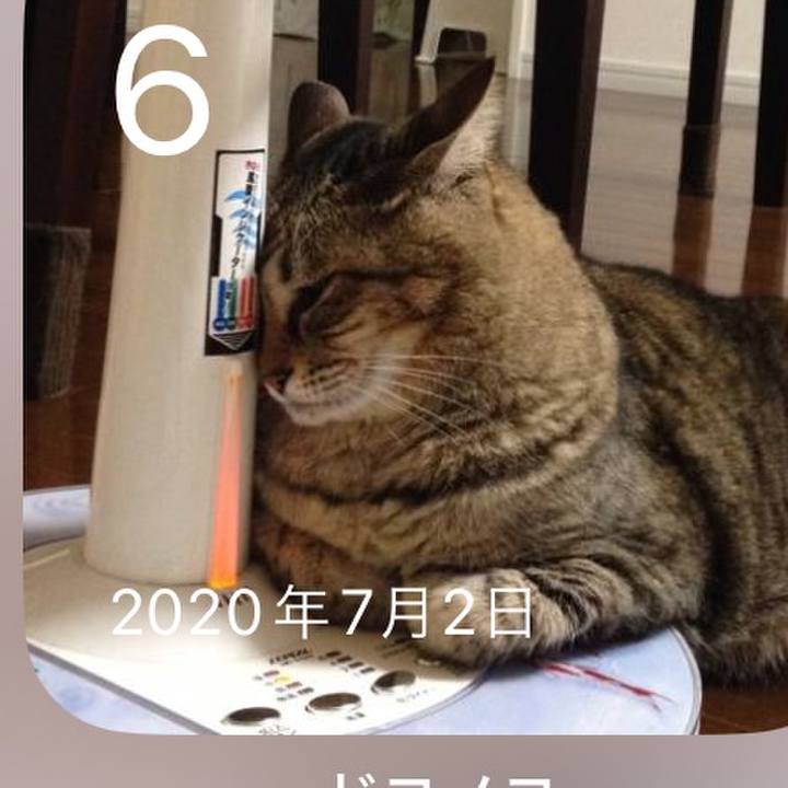 1cde9835 cd59 4852 8e45 8283f02e311d 1720260553314