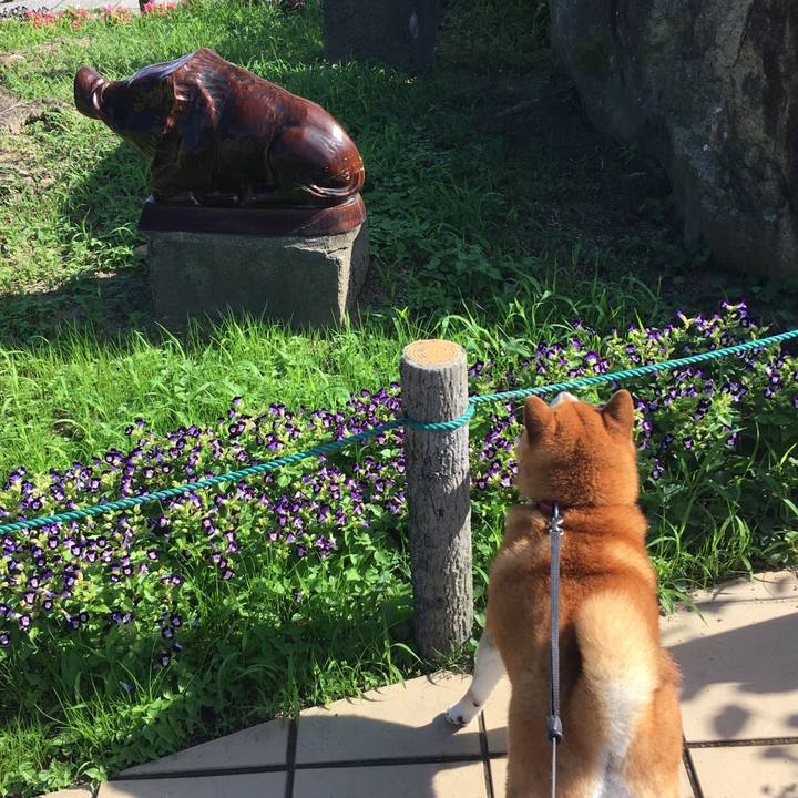 1cdea054 52d2 49b1 b033 565b4d17e255 1627221397282