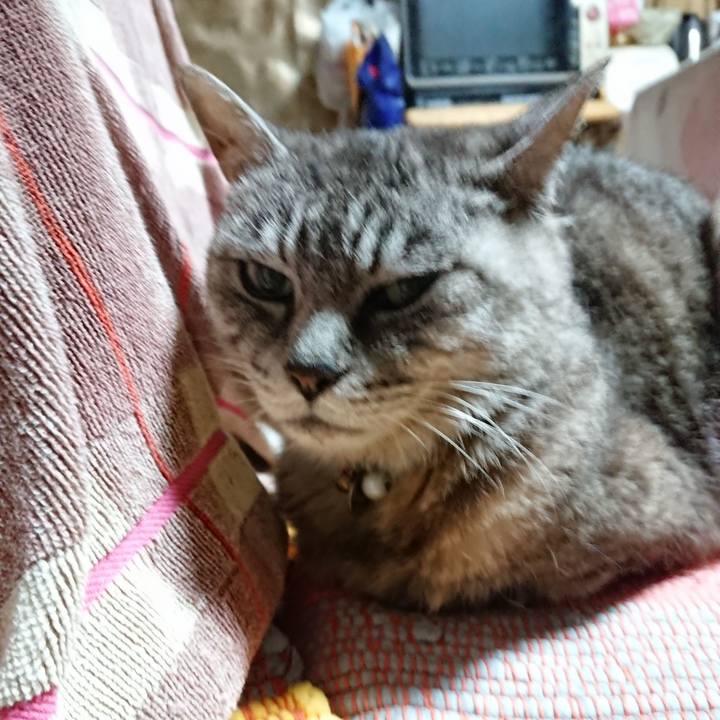 1cdf02ec 7a0a 4421 925b 703296872e26 1568579155795