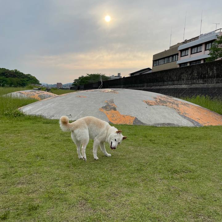 1cdf1728 11fc 460d 87b8 db7e2c6aefd3 1652960249043