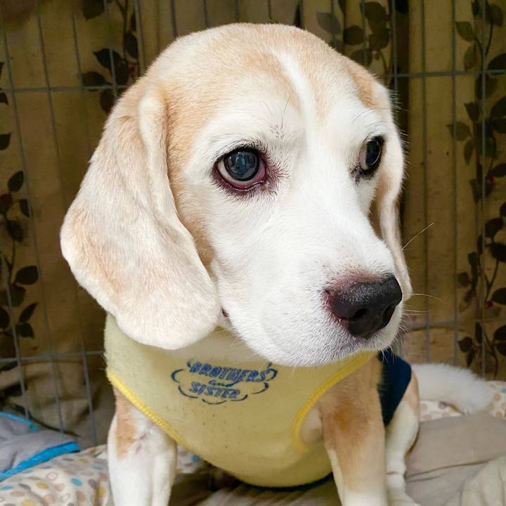 1cdf2f55 61d5 4933 a3df 1b34d67d674a 1660361562556