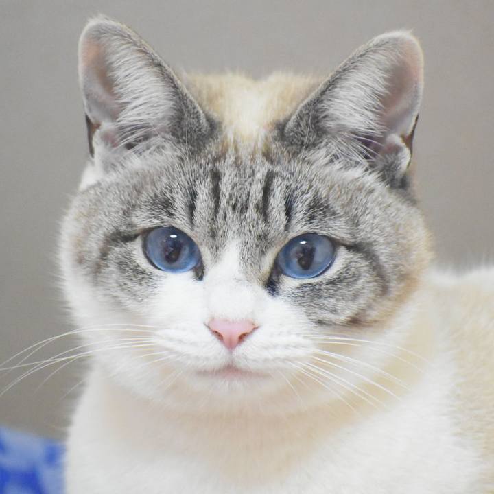 1cdf4ad0 5109 4348 a2d2 729a87b91cc7 1570442336868