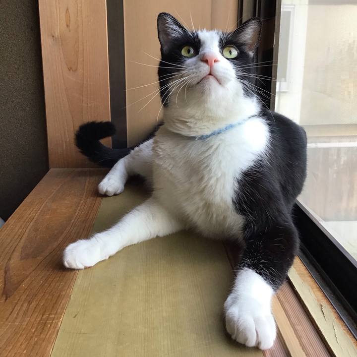 1cdf5505 07ad 46a3 8c68 ec70095e98f5 1725260665035